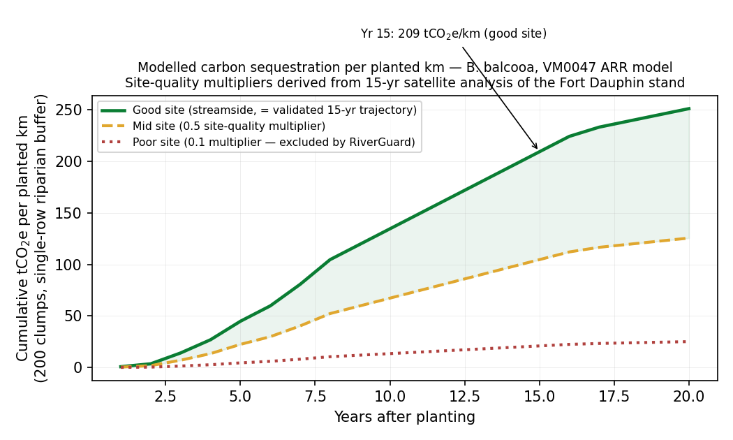 Modelled carbon sequestration per planted km of riparian buffer over 20 years. Good sites (streamside, matching the 15-year Fort Dauphin trajectory) reach ~209 tCO₂e/km by year 15. Mid sites (0.5 site-quality multiplier) reach ~85 tCO₂e/km at year 15. Poor sites (0.1 multiplier) never accumulate meaningfully, these are the sites the RiverGuard platform excludes.