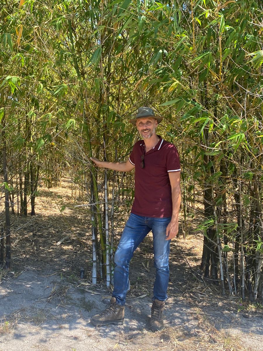 Adriaan Mol, co-founder, in SaniTap's bamboo plantation near Fort Dauphin, Madagascar, September 2023